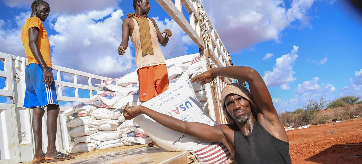 UN suspends food assistance as Ethiopia wrestles with aid diversions UN News